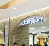 blooming bloomy
