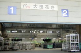 大田市場 花き棟