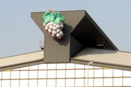青果部 葡萄(ブドウ)