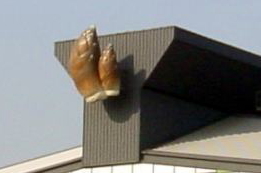 大田市場 竹の子