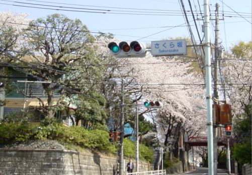 大田区観光スポットさくら坂(桜坂)
